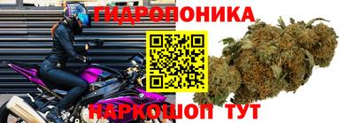 альфа пвп Моздок